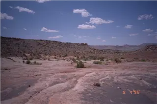 small_9608 3306 co ut, la plata,maroonImg0013.webp